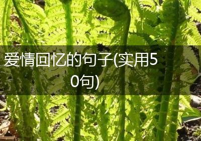 爱情回忆的句子(实用50句)