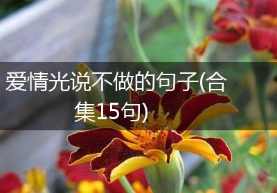爱情光说不做的句子(合集15句)