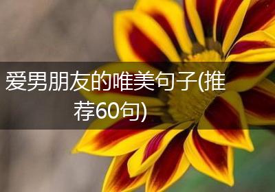 爱男朋友的唯美句子(推荐60句)