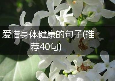 爱惜身体健康的句子(推荐40句)