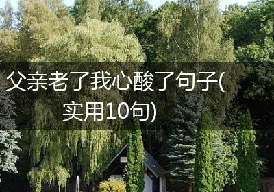 父亲老了我心酸了句子(实用10句)