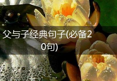 父与子经典句子(必备20句)