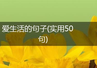 爱生活的句子(实用50句)