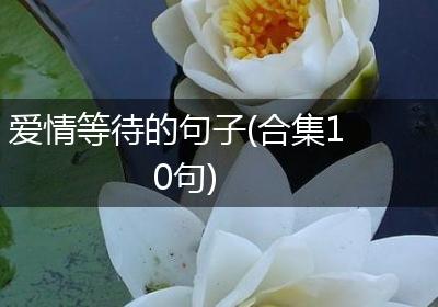 爱情等待的句子(合集10句)