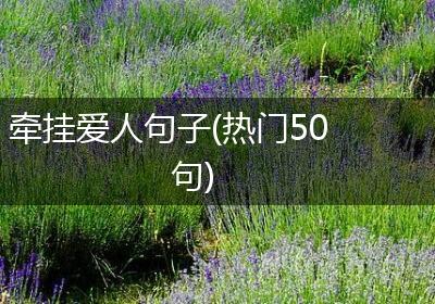 牵挂爱人句子(热门50句)