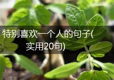 特别喜欢一个人的句子(实用20句)