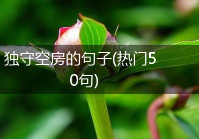 独守空房的句子(热门50句)