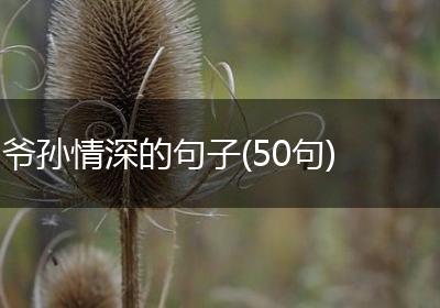 爷孙情深的句子(50句)
