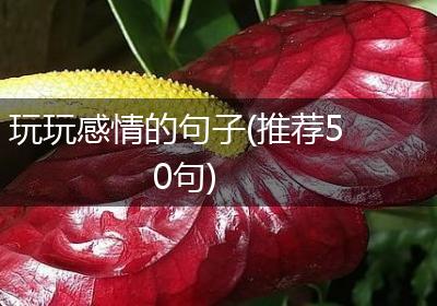 玩玩感情的句子(推荐50句)