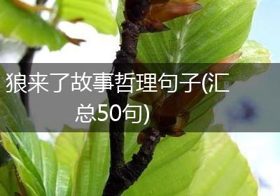 狼来了故事哲理句子(汇总50句)
