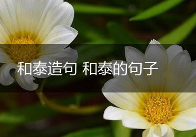 和泰造句 和泰的句子