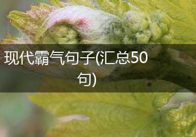 现代霸气句子(汇总50句)
