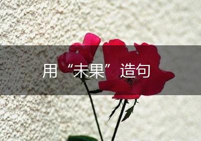 用“未果”造句