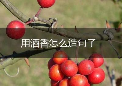 用酒香怎么造句子