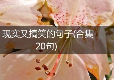 现实又搞笑的句子(合集20句)