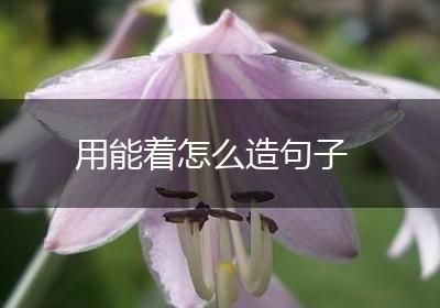 用能着怎么造句子