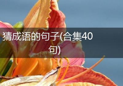 猜成语的句子(合集40句)
