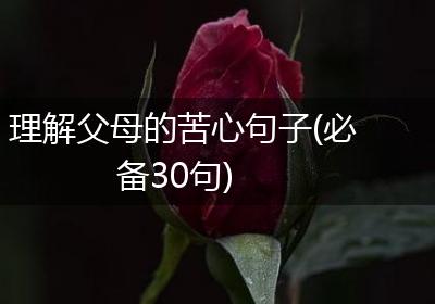 理解父母的苦心句子(必备30句)