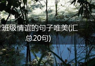 班级情谊的句子唯美(汇总20句)