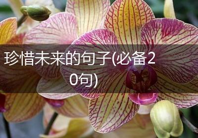 珍惜未来的句子(必备20句)