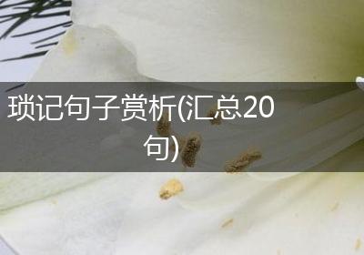 琐记句子赏析(汇总20句)