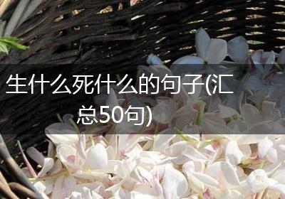 生什么死什么的句子(汇总50句)
