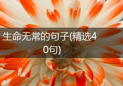 生命无常的句子(精选40句)