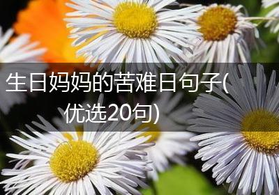 生日妈妈的苦难日句子(优选20句)