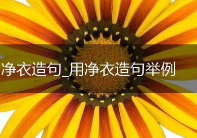 净衣造句_用净衣造句举例