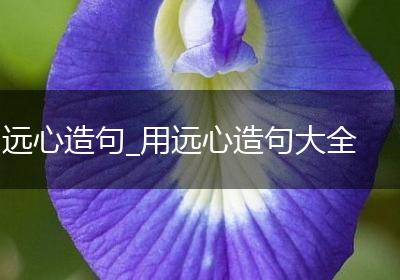 远心造句_用远心造句大全