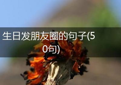 生日发朋友圈的句子(50句)