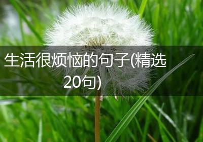生活很烦恼的句子(精选20句)