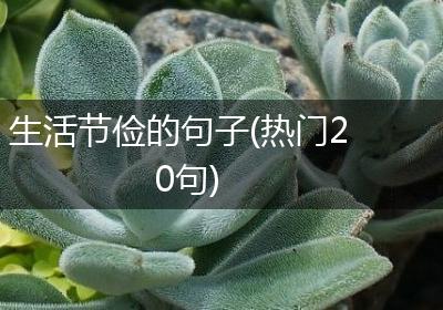生活节俭的句子(热门20句)