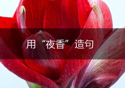 用“夜香”造句