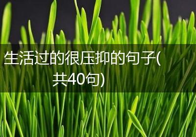 生活过的很压抑的句子(共40句)