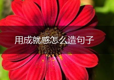 用成就感怎么造句子