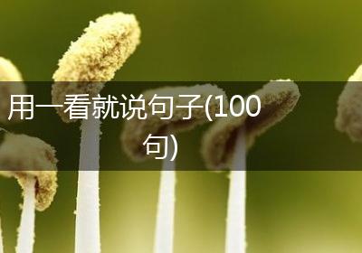 用一看就说句子(100句)