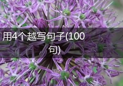 用4个越写句子(100句)