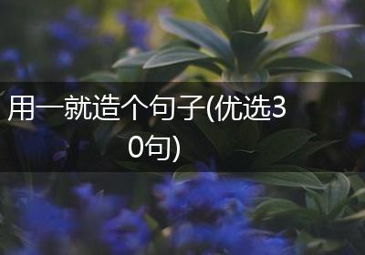 用一就造个句子(优选30句)