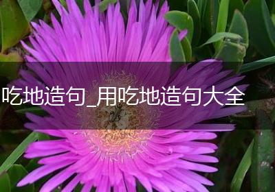 吃地造句_用吃地造句大全