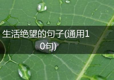 生活绝望的句子(通用10句)