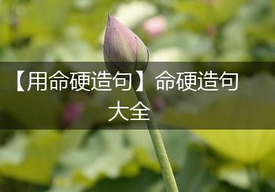 【用命硬造句】命硬造句大全