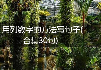 用列数字的方法写句子(合集30句)
