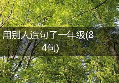 用别人造句子一年级(84句)