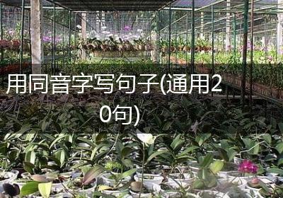 用同音字写句子(通用20句)