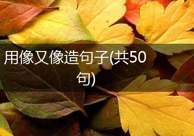 用像又像造句子(共50句)