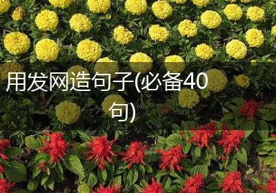用发网造句子(必备40句)