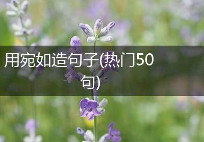 用宛如造句子(热门50句)