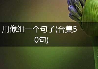用像组一个句子(合集50句)