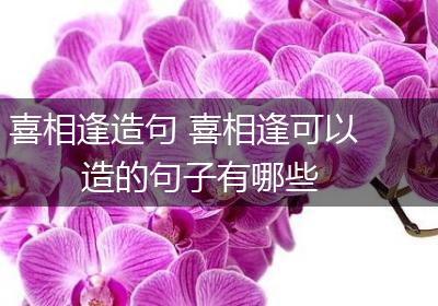 喜相逢造句 喜相逢可以造的句子有哪些
